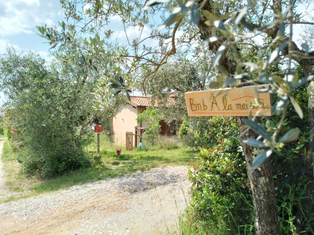Bnb A La Maison Reggello Dış mekan fotoğraf